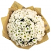 Букет из белой ромашковой хризантемы в крафте фото 1063