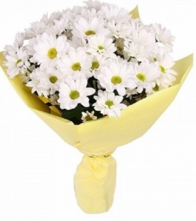 Букет из 11  белых кустовых хризантем фото 1059