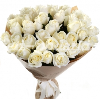 Букет из 51 белой розы в крафте фото 1100